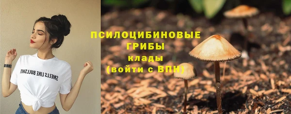 соль ск Нея
