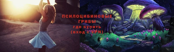 соль ск Нея