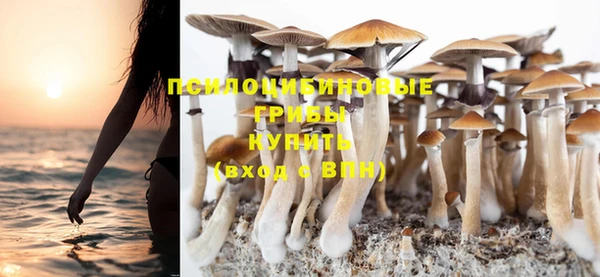 mdpv Нефтегорск