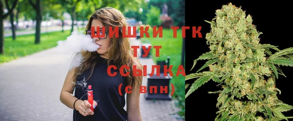 соль ск Нея