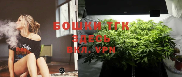 соль ск Нея