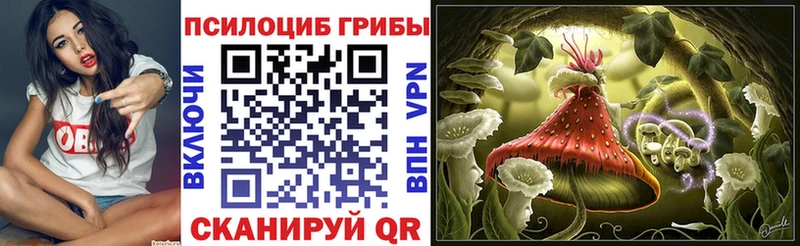 Псилоцибиновые грибы мицелий  Купить закладки  Нюрба 