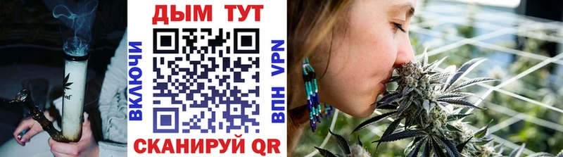 Купить  Нюрба  Бошки Шишки VHQ 